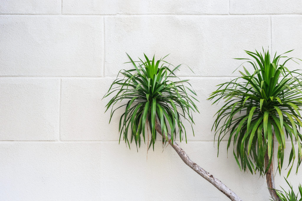 AdobeStock_87204188-1024x683 AdobeStock_87204188-1024x683