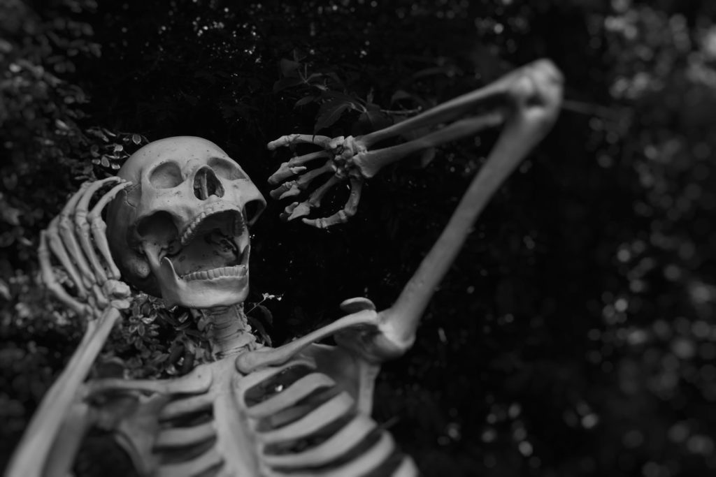 boo-zoo-1024x683