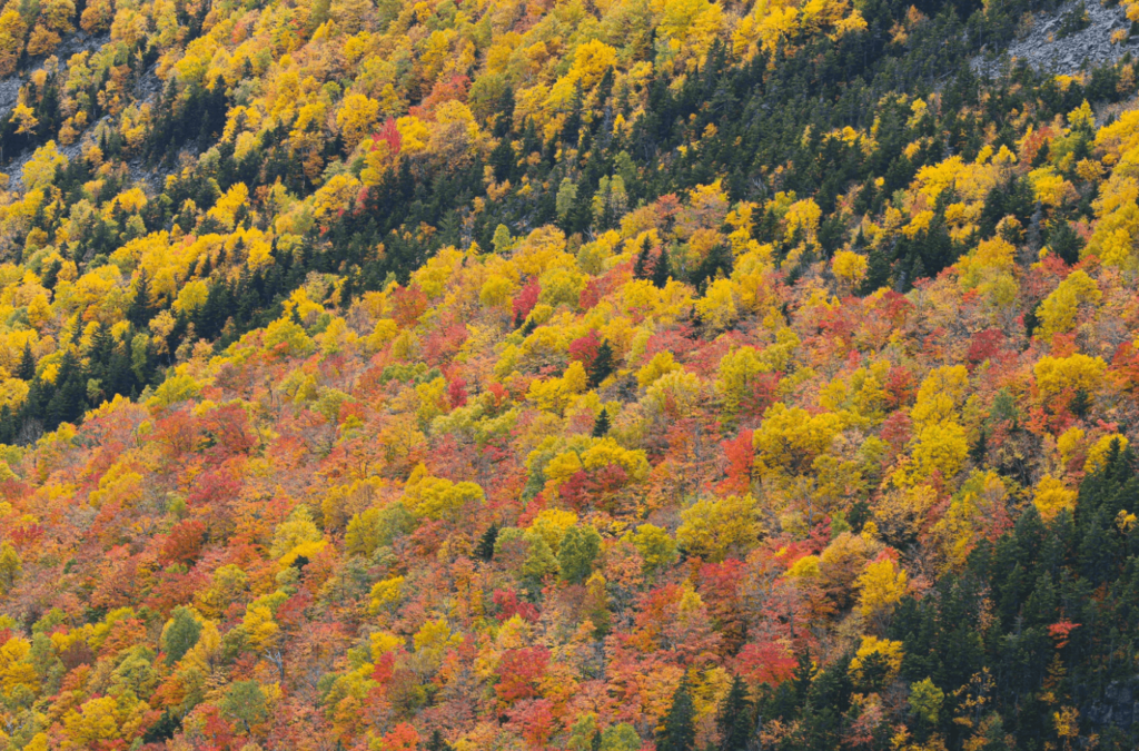 hike-fall-1024x675 hike-fall-1024x675