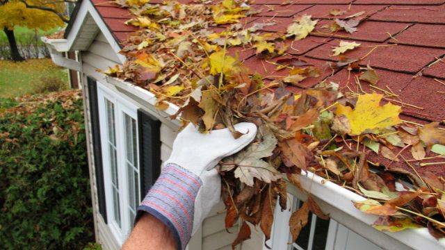 a-person-in-work-gloves-removing-leaves-from-a-gutter a-person-in-work-gloves-removing-leaves-from-a-gutter