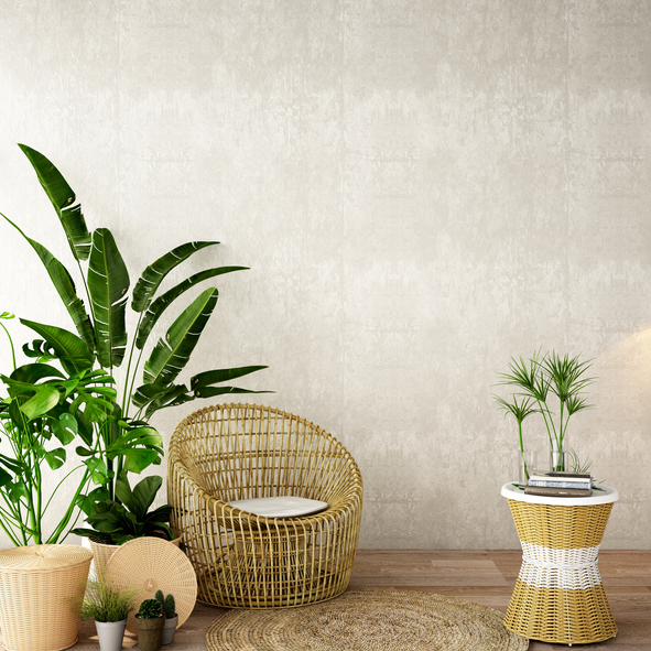 Decorate and Brighten Up Your Home with Indoor Plants - TJC Real Estate