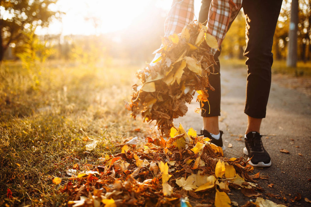 Clean up fall leaves