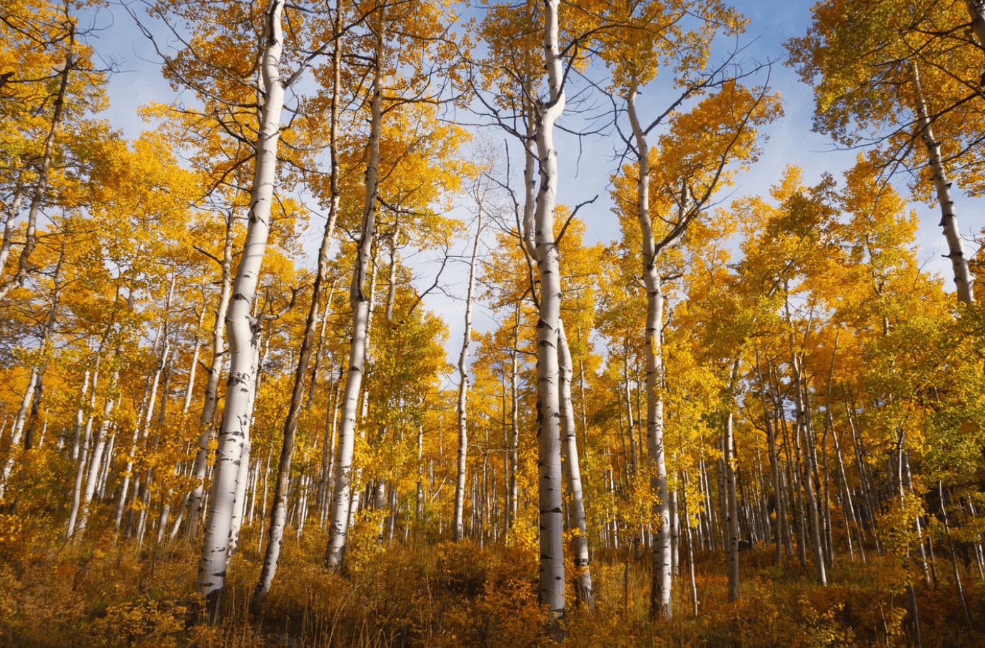 fall hike